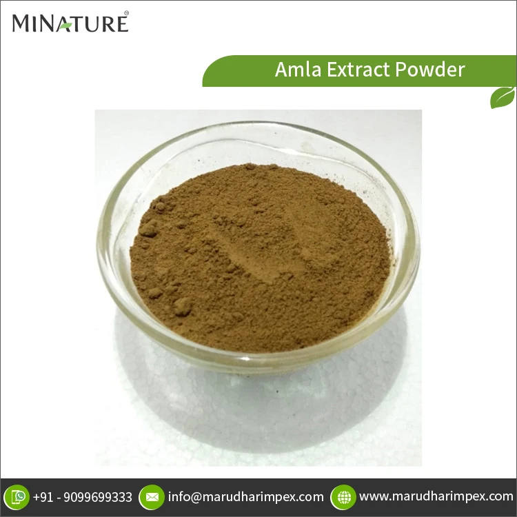 Лидер продаж Лучшая цена оптовая продажа хорошее качество 100% чистый порошок экстракта амлы от индийского поставщика