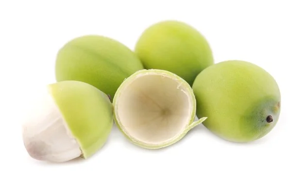 Peeled Clean Lotus Seeds/White lotus seeds/Delicious soup lotus seeds from Vietnam