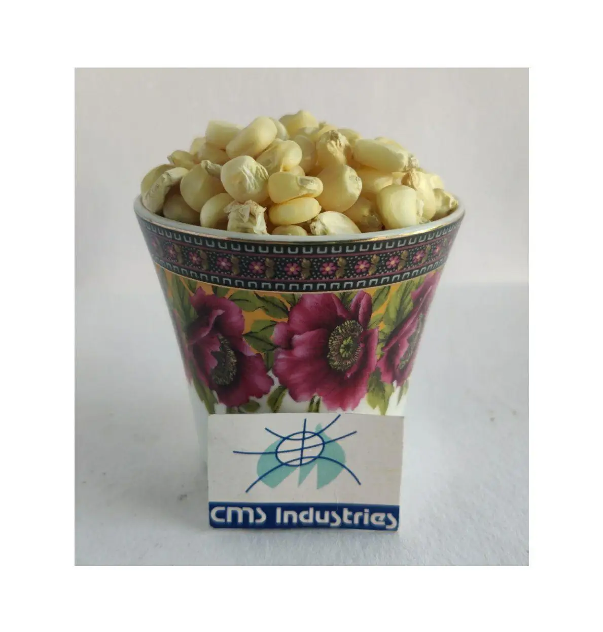 Undamaged White Maize at Low Price for Feeding Animals