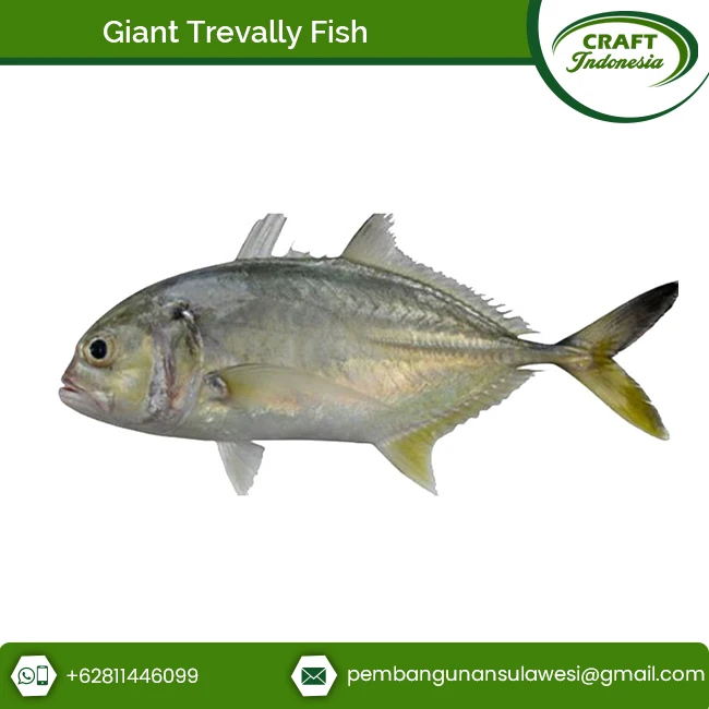 Seafood Frozen Dried Giant Trevally Fish