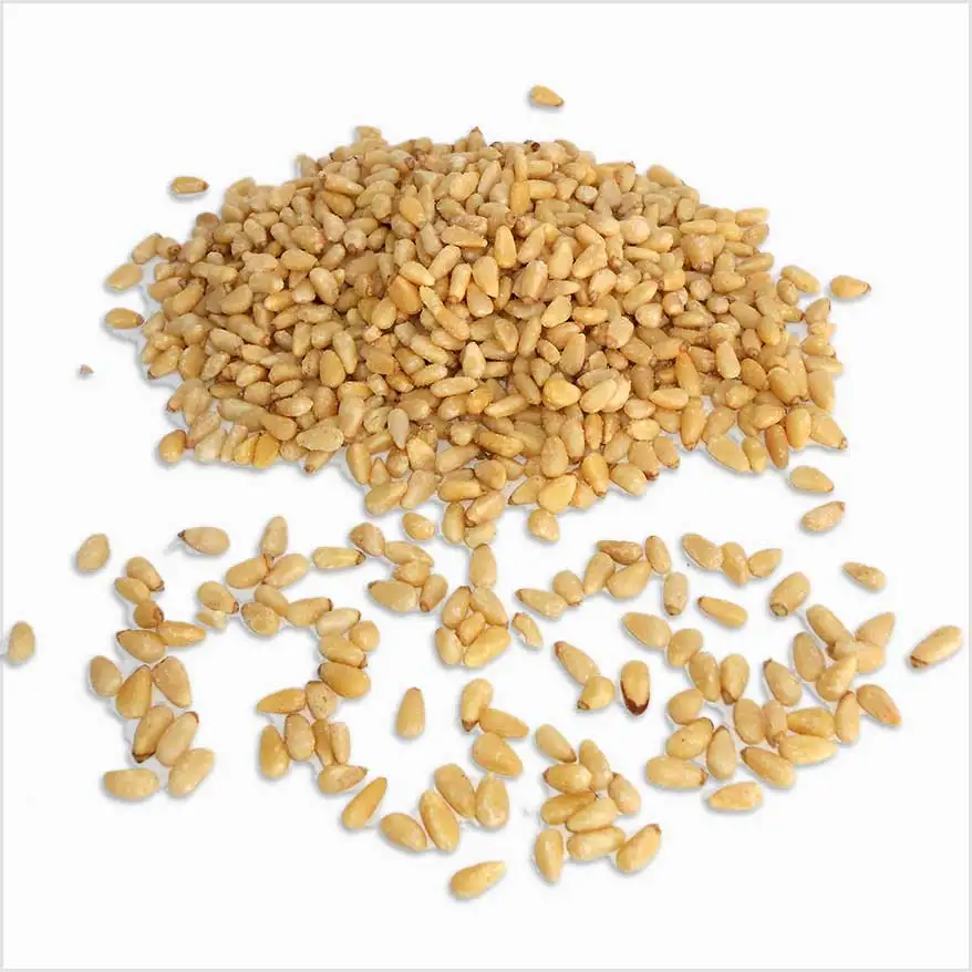 Raw pine nuts.jpg