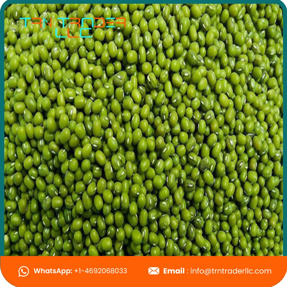 Зеленые бобы мунг премиум-класса очищенные машиной от экспортера из