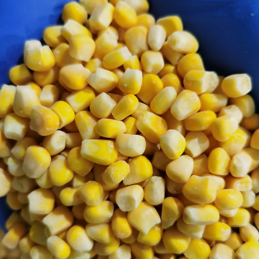 Cheap Price Kernels Frozen Sweet Corn Kernel Nature Product FROZEN SWEET CORN Fryst A Grade Frozen Corn Cob and Whole Maize