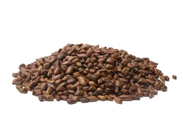 Natural high quality raw Tovara Chakvad Cassia Tora seeds Sickle Senna seeds