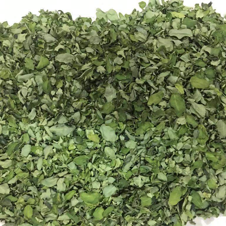 Private Label Supplier Best Price Bulk Moringa Oleifera Leaf Powder