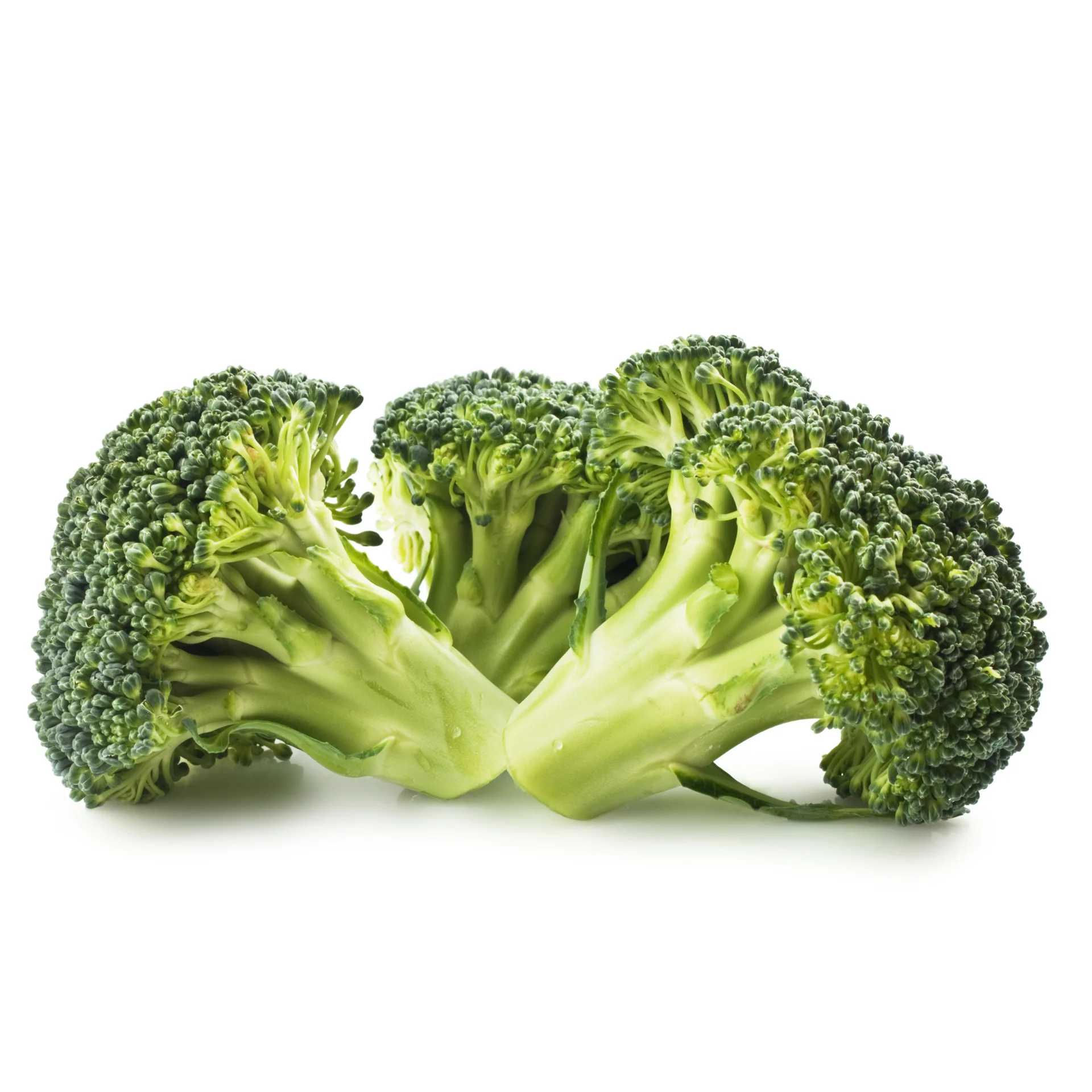 Broccoli - High quality