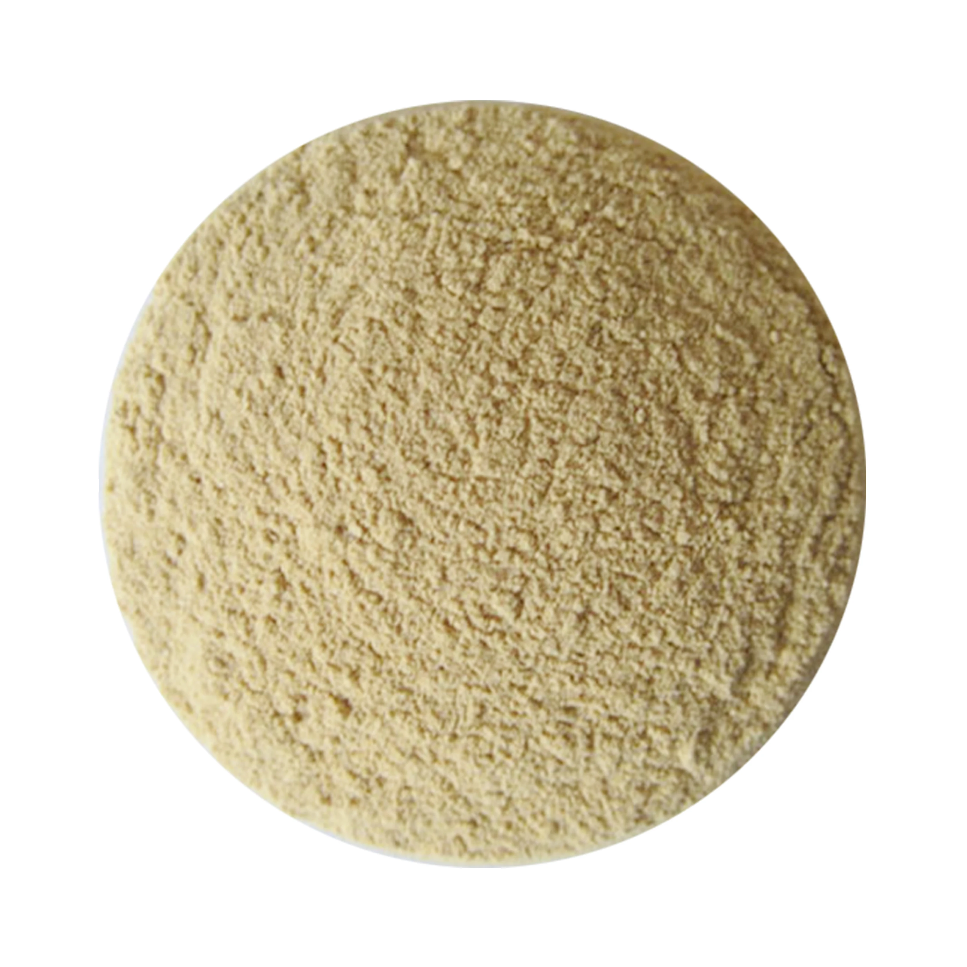 High Concentration Feed Grade Enterococcus Feacalis Powder