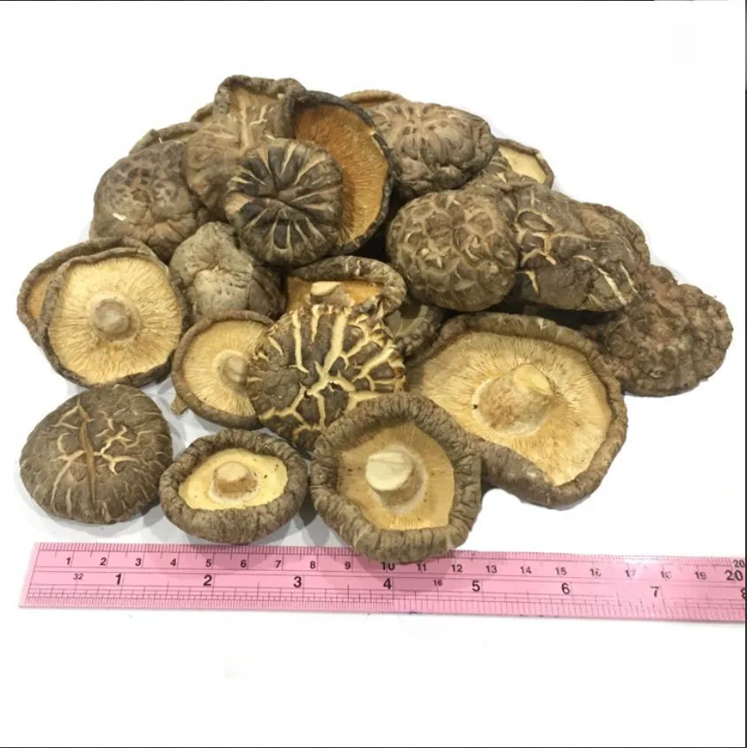 
Premium Grade Dried Shiitake Mushroom A5 