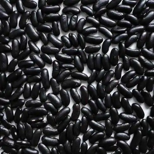 
High quality Black Kidney Beans 