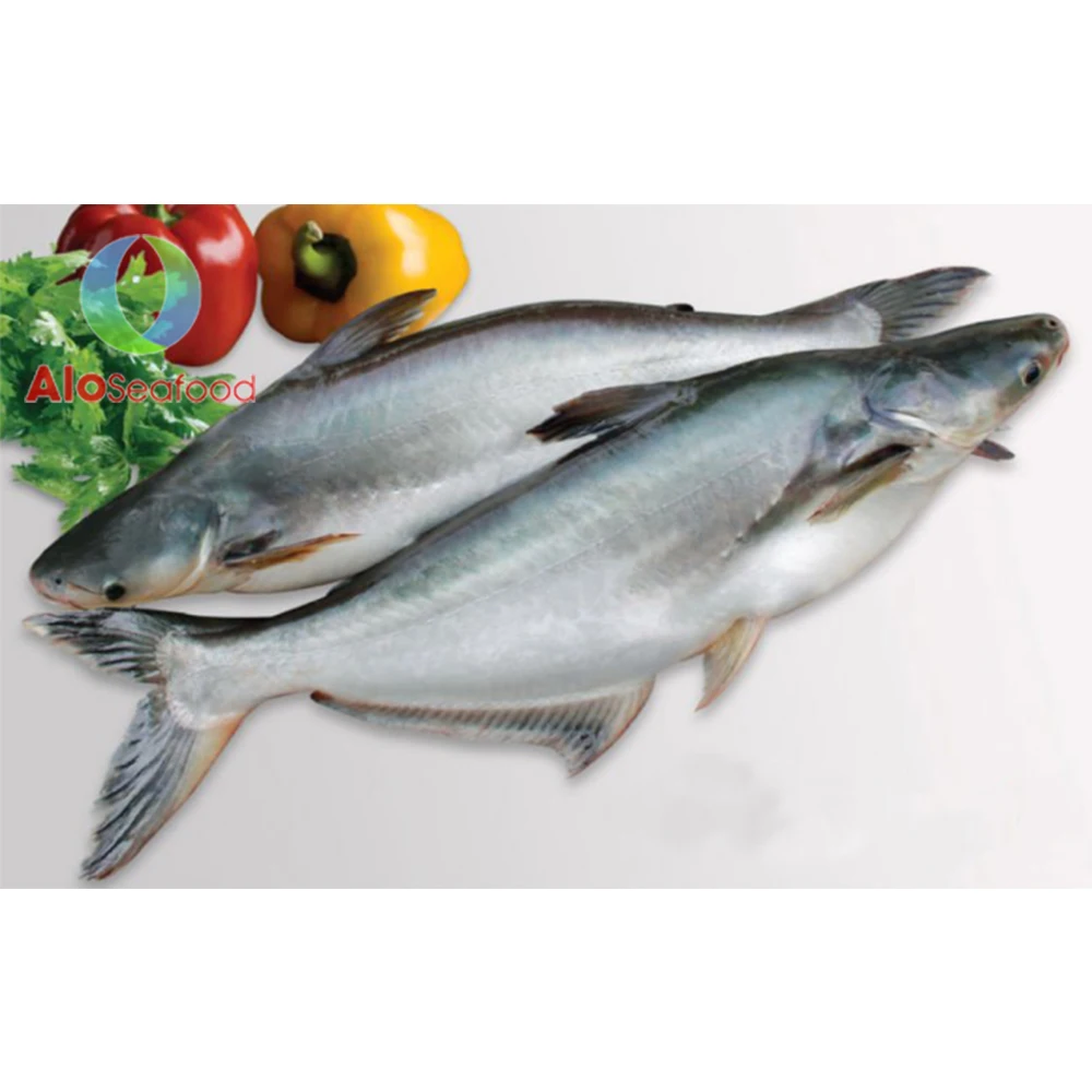 Hot selling cheap price with high quality Frozen Fish Pangasius Skin from Vietnam seafood company