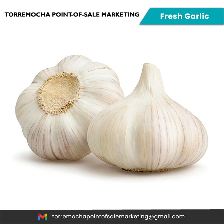 Healthy Natural New Crop Pure Natural Organic Fresh Philippines White Garlic at Least Price