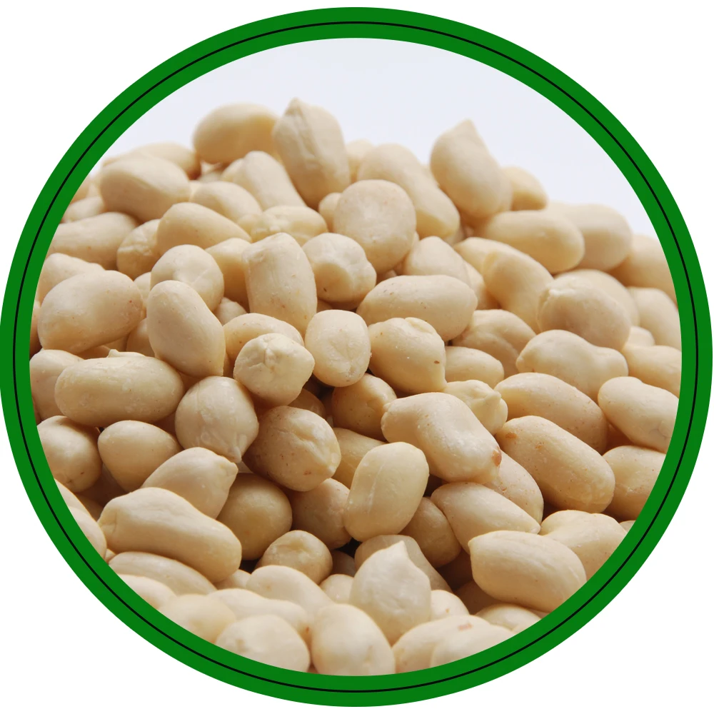 peanut exporter from india