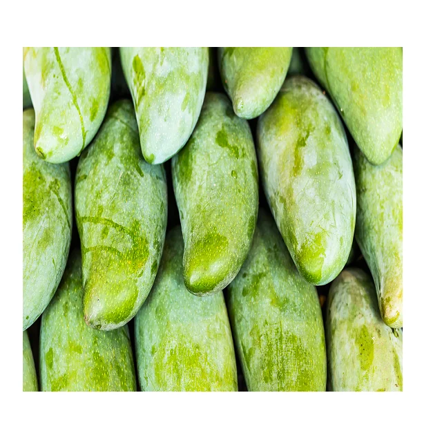 
Organic Pakistani Fresh Green Mangoes In Wholesale Price 