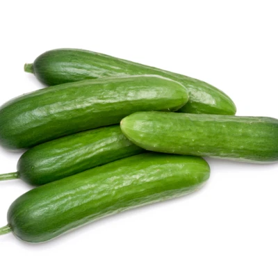Organic Healthy Feature Fresh Cucumber with Top Grade/Zucchini/English Cucumber