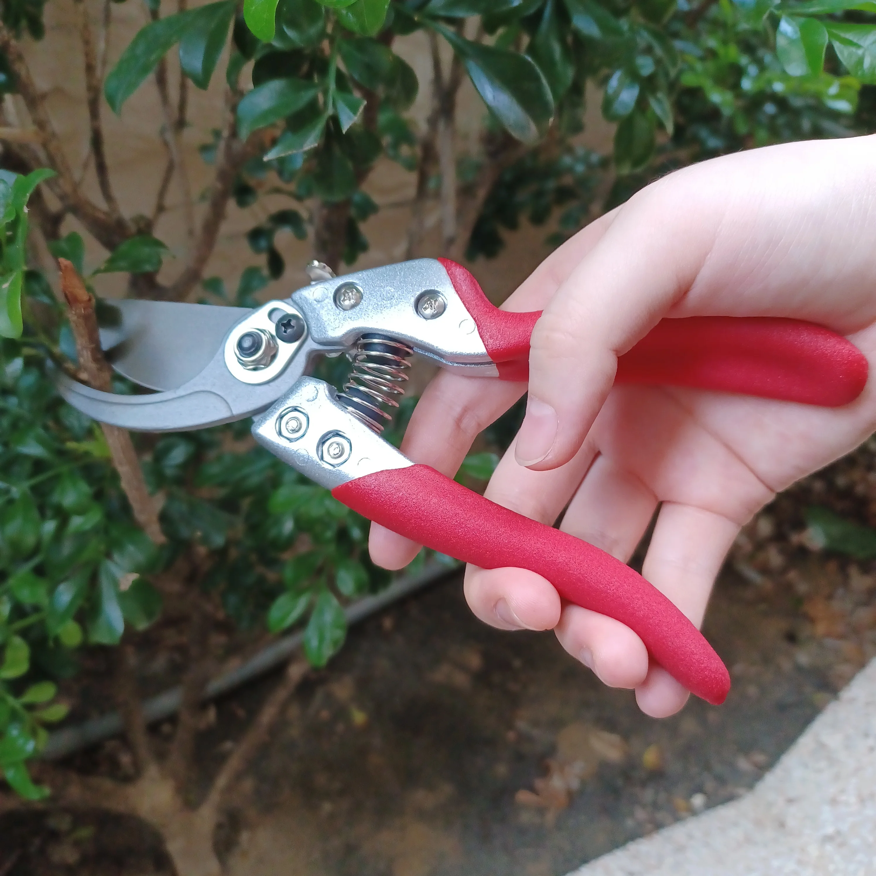 FUJIYA Brute Force Scissors for the branches and plant