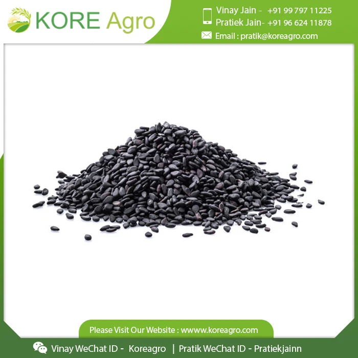 Premium Roasted Black Sesame Seed Natural Good Taste Black Sesame Price Roasted Wholesale Sesame Seeds