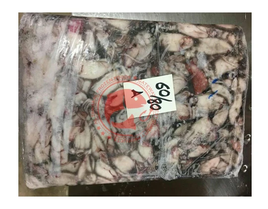 Whole Frozen Loligo Squid in Bulk Pakistani Origin Frozen Loligo Squid High Quality Whole Loligo Squid