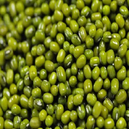 High-End Premium Quality Green Mung Beans / green mung beans specification / Green Mung Beans