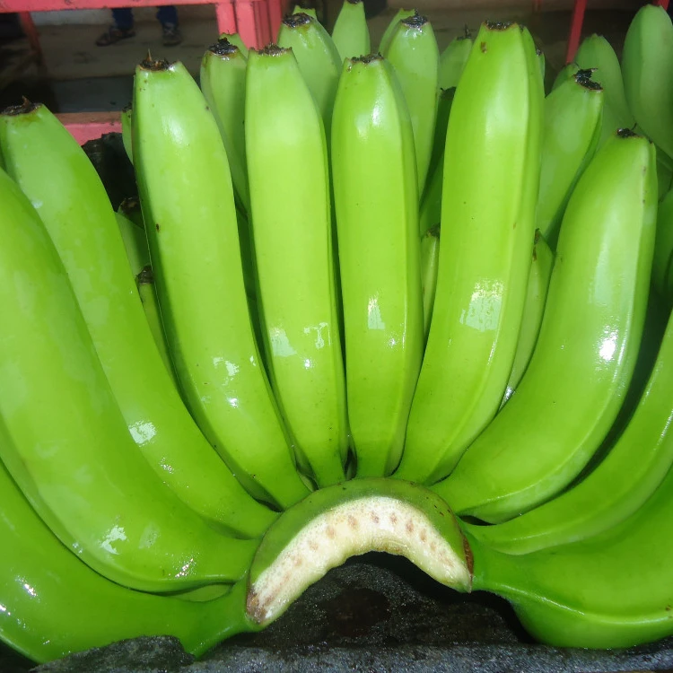 Fresh Banana From Thailand Premium Thai Fruit