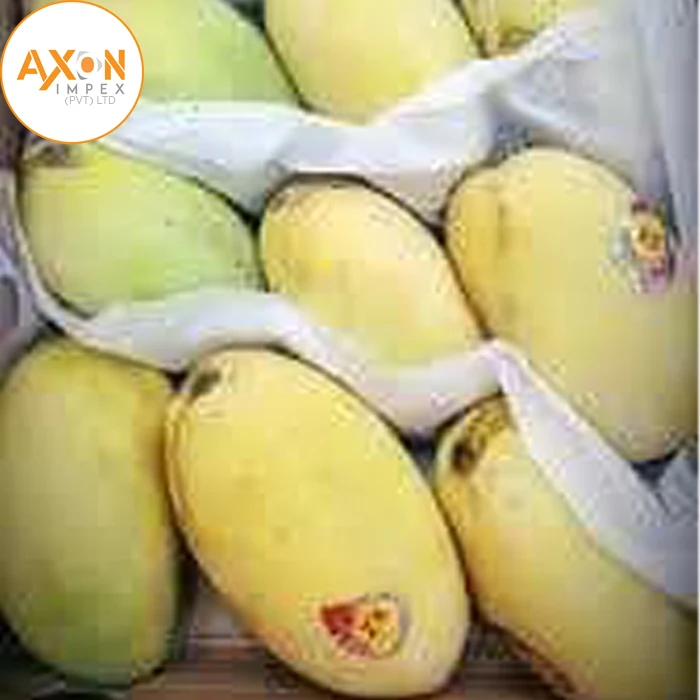 
Fresh Alphonso Mangoes Exporters in India 