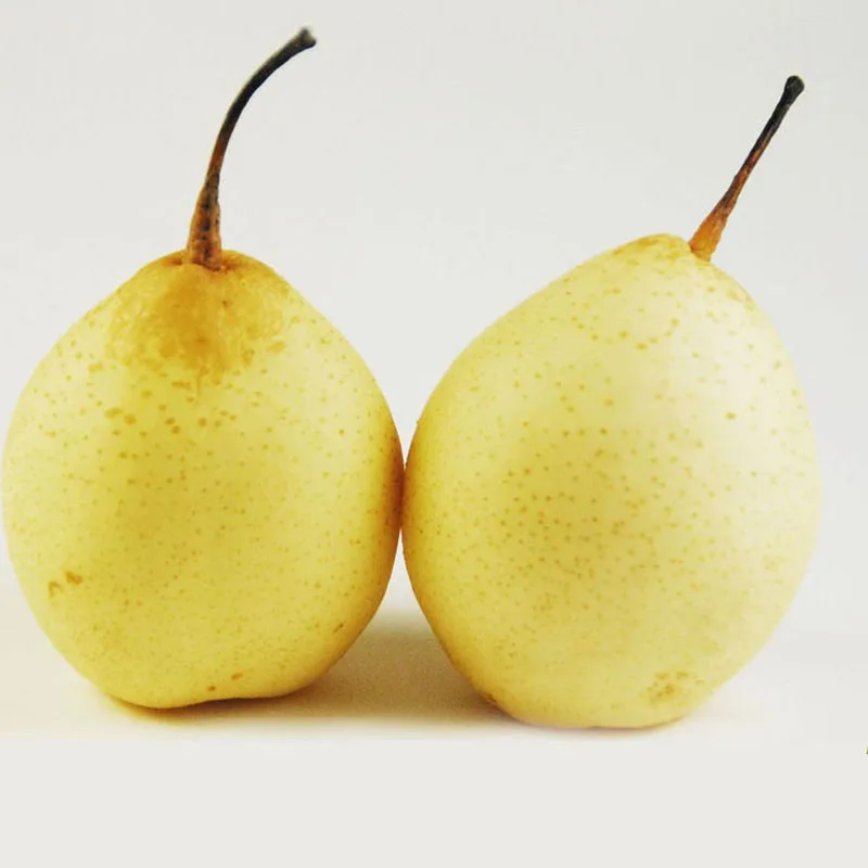 Singoo Pears with Taste of very sweet & juicy Fresh Natural Fruit Cultivated SA