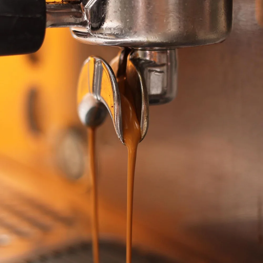 Premium quality Castorino Italian Whole Bean Coffee 1 kg GOLD ARABICA and 1 kg MISCELA EXTRA 70% Robusta for home / HO.RE.CA.