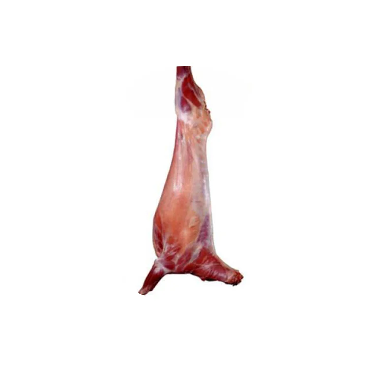 Top Grade Halal Boneless Lamb Leg / Lamb Leg Meat / Lamb Shoulder Meat