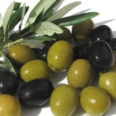 
Fresh Olives-Quality green Fresh Olives 