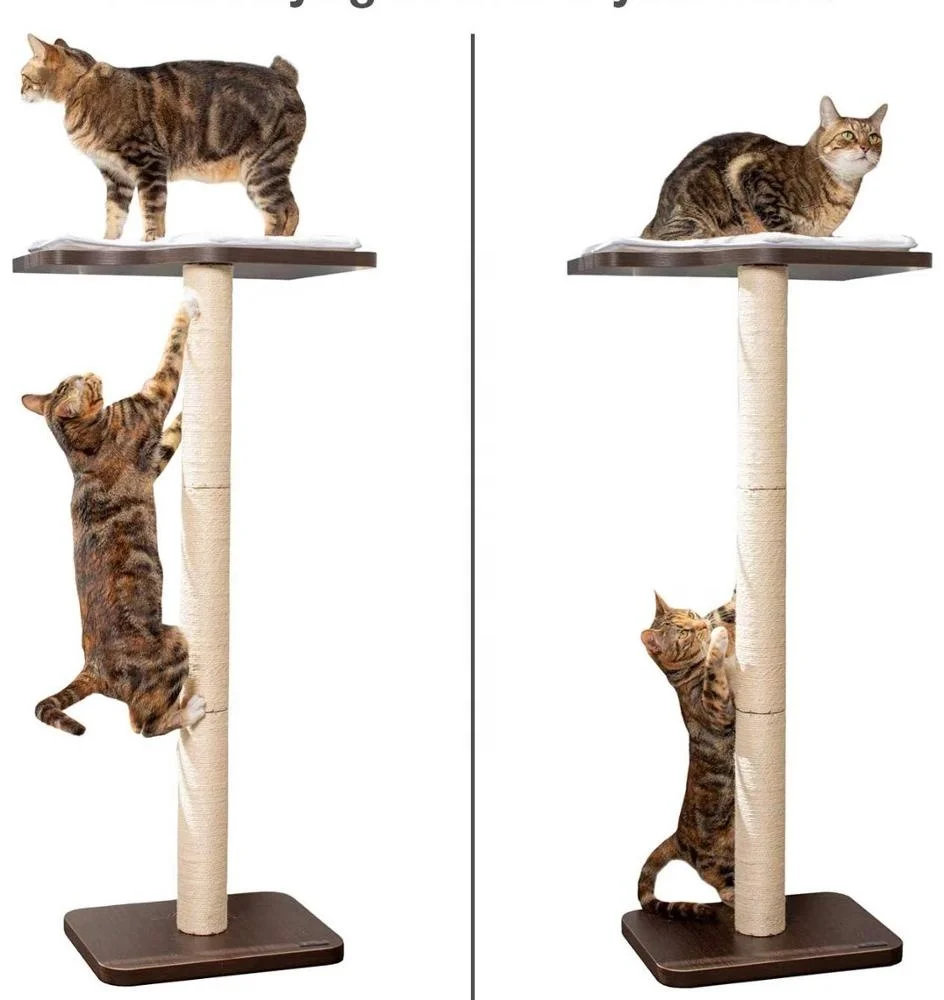 
Wood Cat Window Perch Hammock Seat Space Saving and Safety Window Mounted Cat Bed for Large Cats 