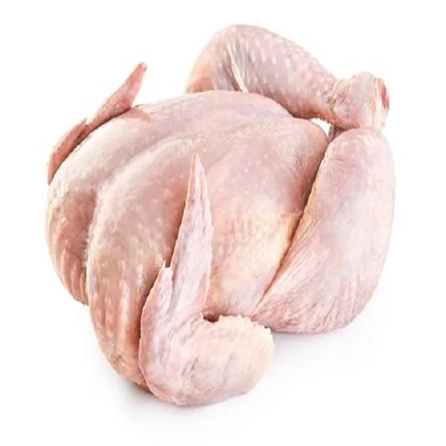Wholesale Chickens Frozen HACCP Halal Frozen Whole Chicken