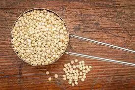 Indian Manufacturer of Top selling product Of 2022 Grain Sorghum Bulk Red and White Sorghum at Affordable Price