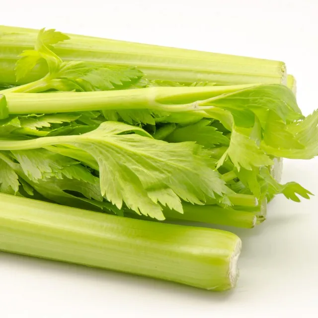Vegetable Cauliflower Cabbage / China supply for sale fresh celery
