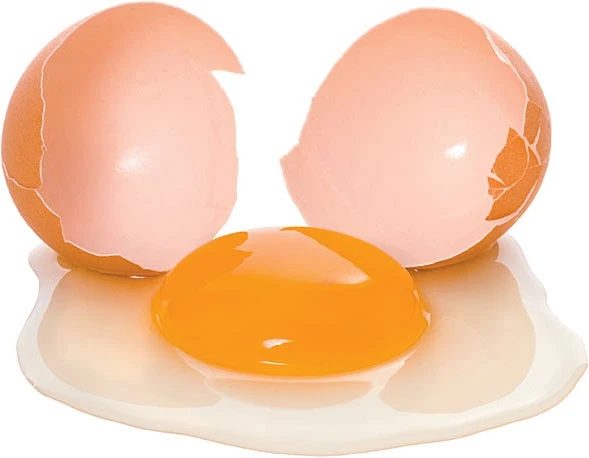 Chicken Table Eggs Export Fresh Eggs