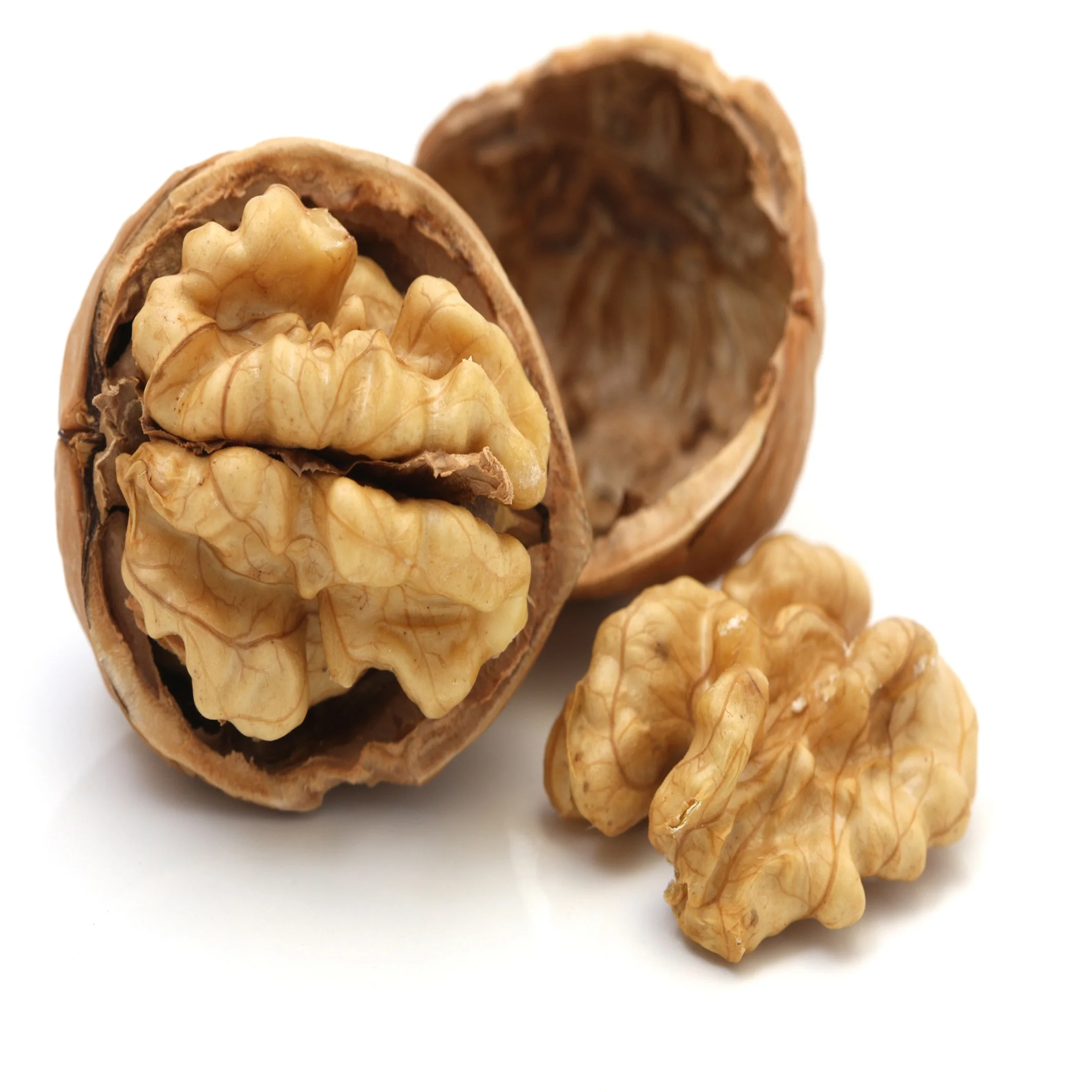 Best Quality Walnut for Sale