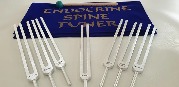 Latest Design Medical Tuning Fork For Healing