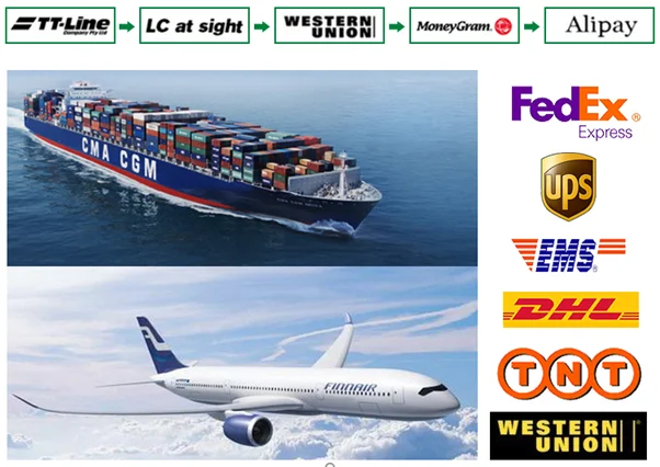 Duytan shipping 2.png