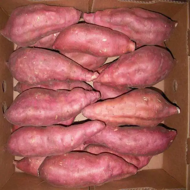 White Yellow  Red Purple Sweet potato