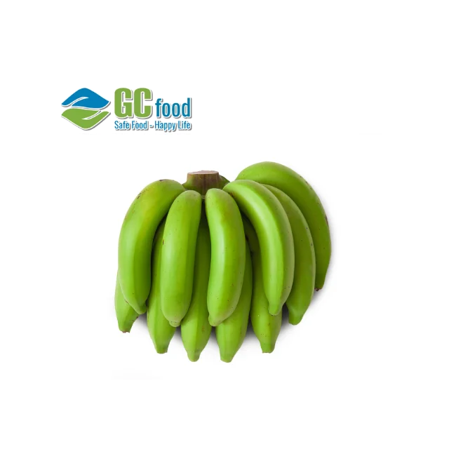 (GC Food)  Fresh Cavendish fresh  Banana  best - 100% High Quality Green Fresh Cavendish Banana pure with  from Vietnam