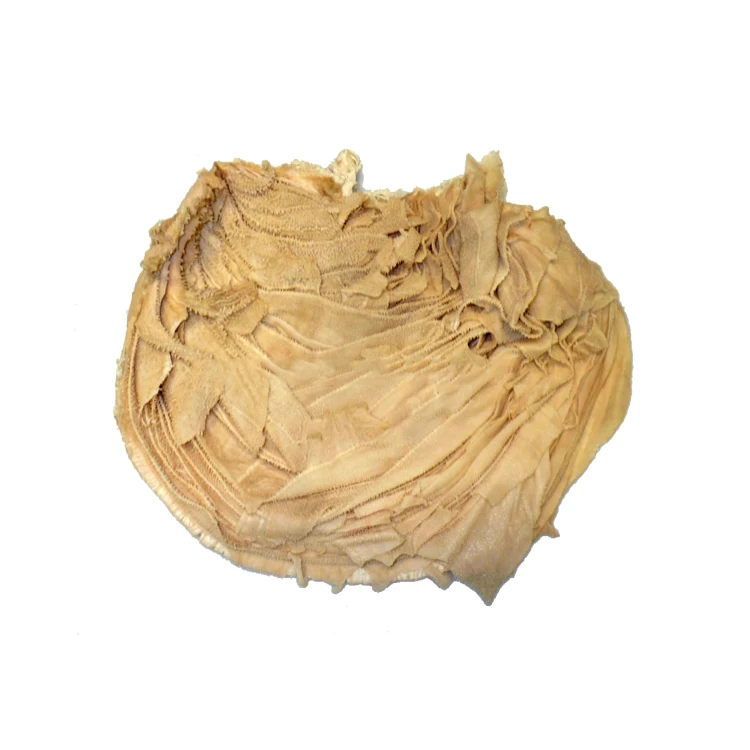 High Quality Grade Salted and Dried Cow Omasum - Beef Omasum / Frozen Beef Omasum