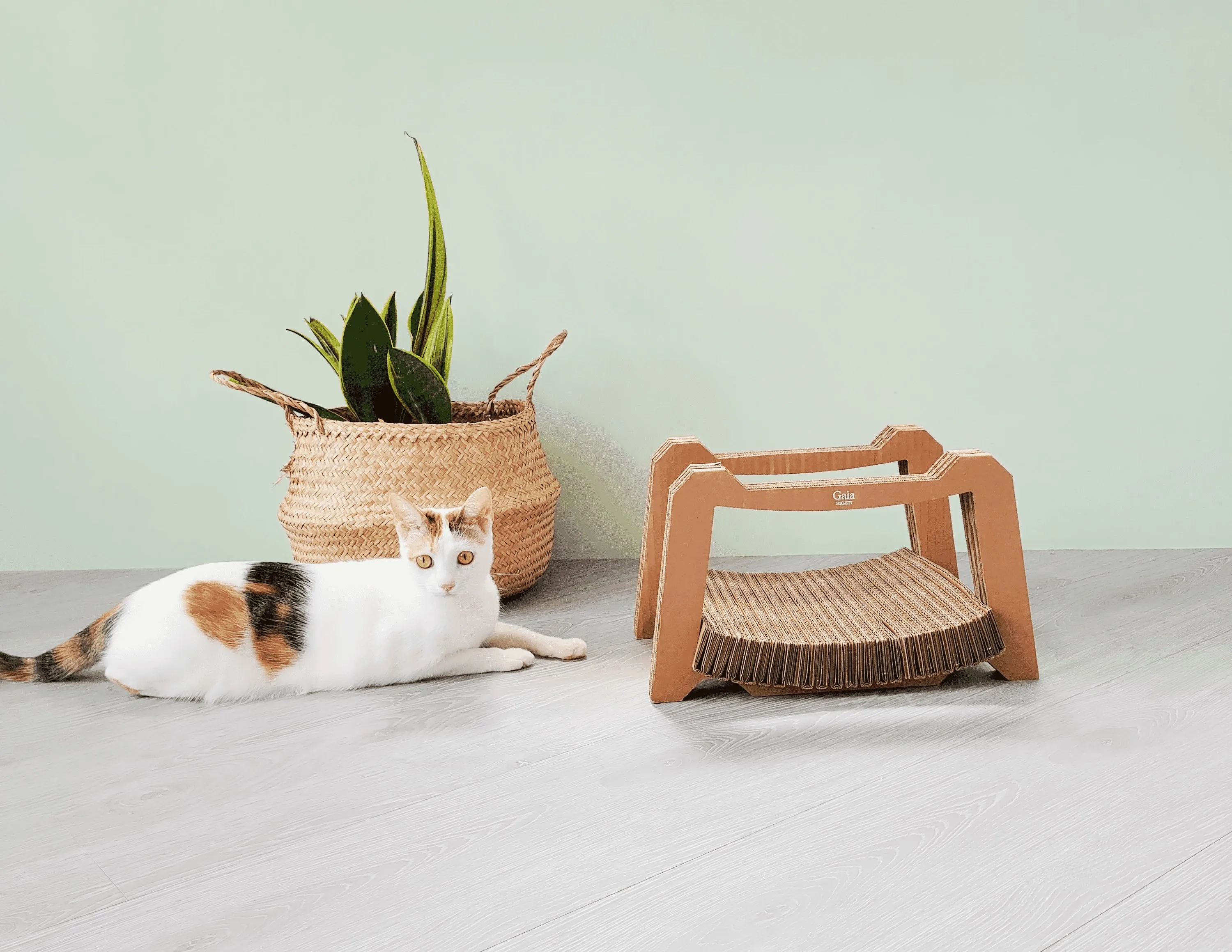 2021 HOT Product Corrugated Paper Cat Scratcher Board