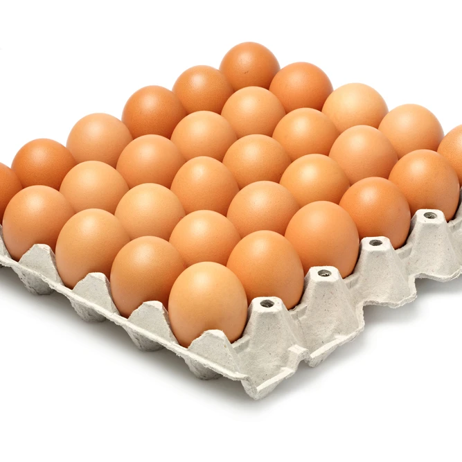 High Quality Fertile Hatching Chicken Egg/Fresh Chicken Table Eggs