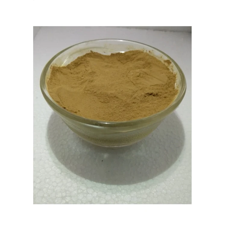 Superior Quality Bulk Sale Top Selling 100% Pure and Organic Licorice Extract 10% Powder for Wholesale Buyers