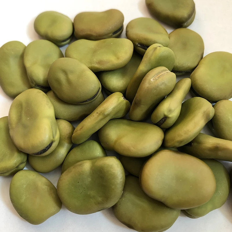 Broad Beans, Green Broad Beans,