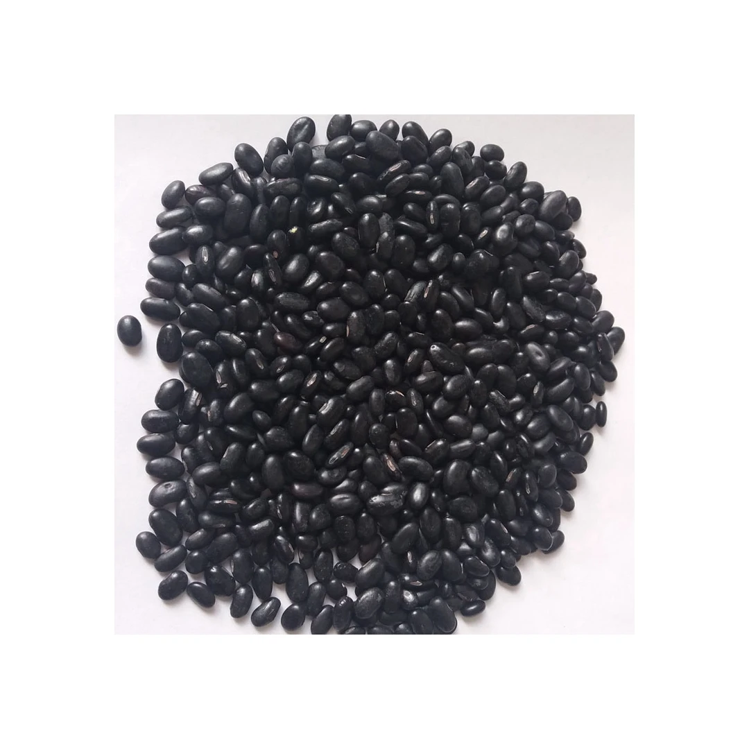 Non- Gmo Premium Hot Selling China Price Of Black Kidney Beans Available at cheap price