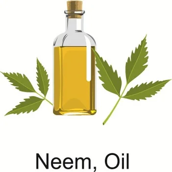 Pure Neem Oil Cold Pressed Manufacturer whatsapp - +91 9952096741  natural way of cold processing method with high Azadirachtin