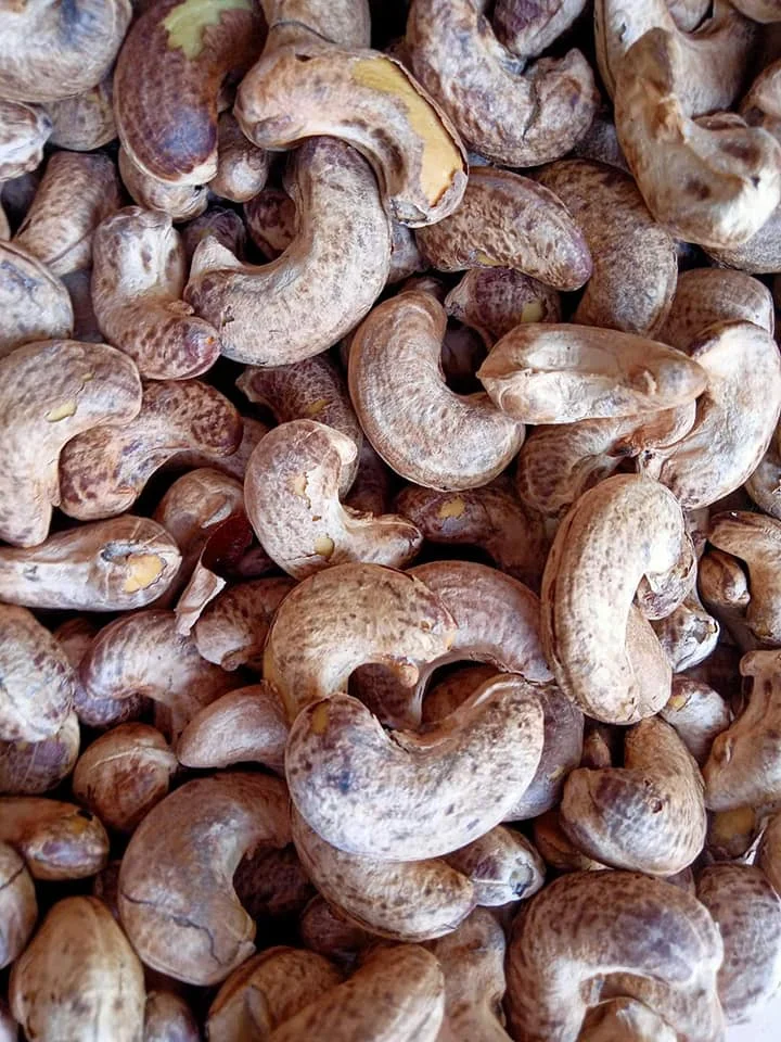 VIETNAM ROASTED CASHEW NUTS KERNELS WITH SALT