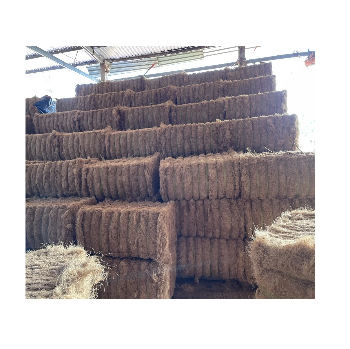 Viet Nam Supplier 100% Natural Coconut Fiber for mattress production Premium quality Brownish yellow