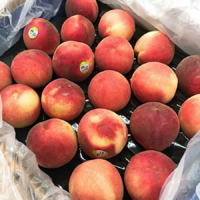 Продажа с завода, 100% натуральный Свежий Камень, фруктовый класс А, свежий Австралийский персик