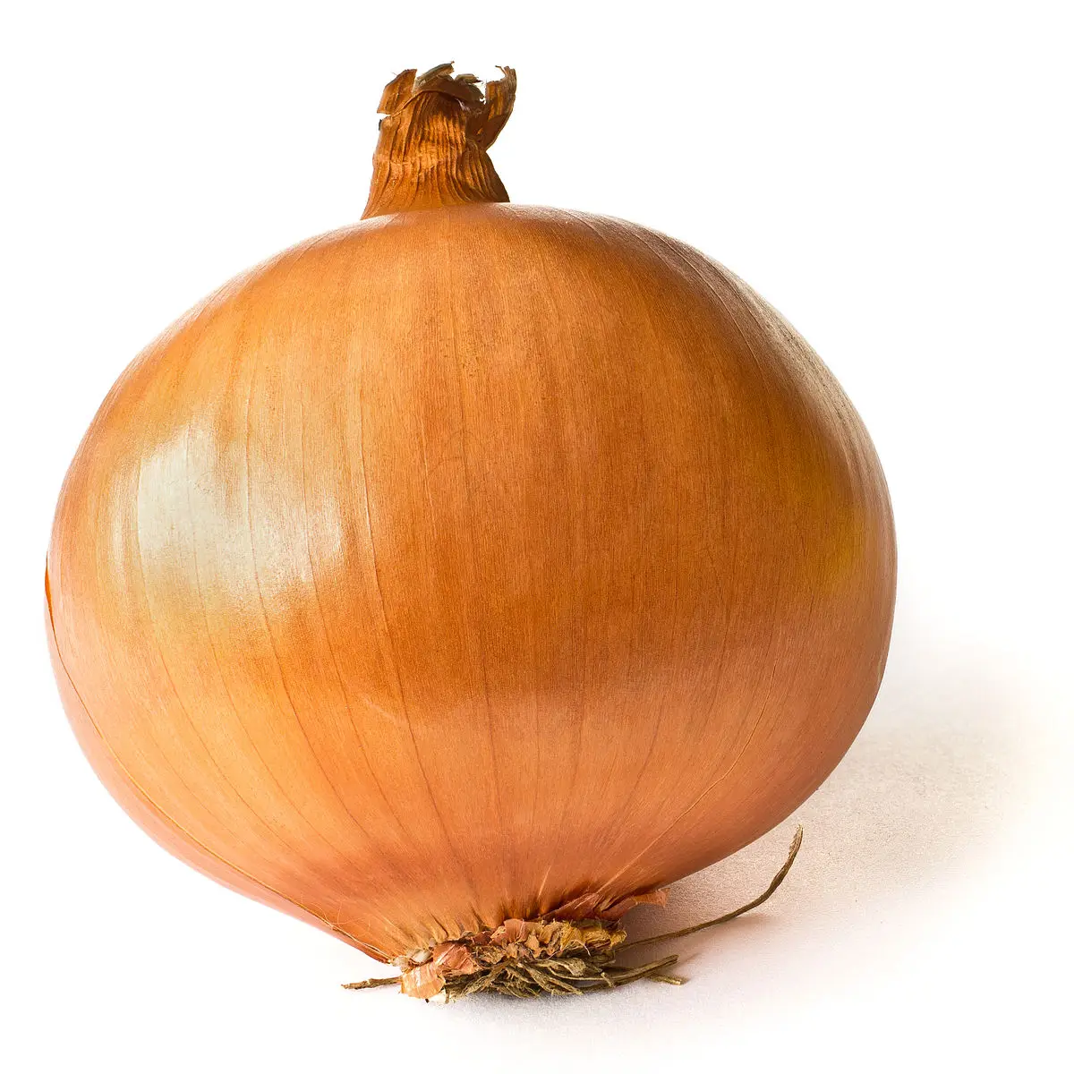 100% Natural Fresh onions from Pakistan