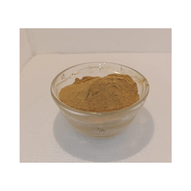 100% Pure Super Finest Quality Wholesale Selling Natural Chaga Mushroom Inonotus Obliquus Extract Powder